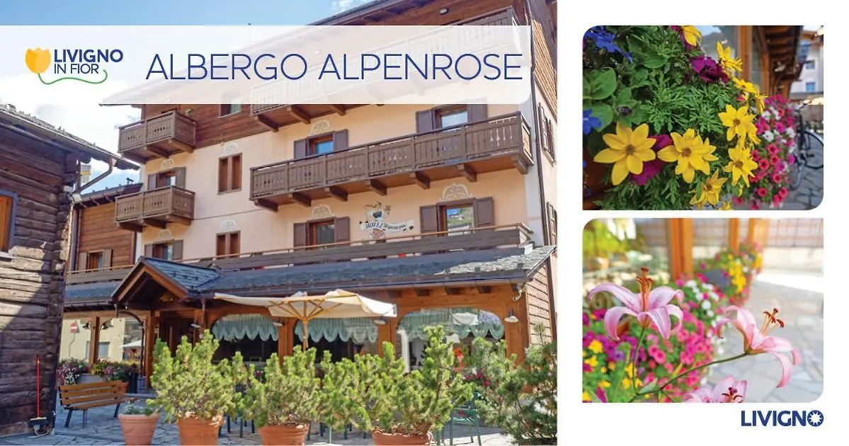 Albergo Alpenrose Livigno 3*,