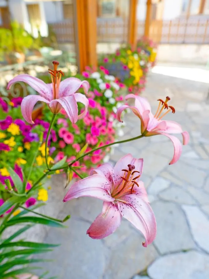 *** Hotel Albergo Alpenrose Livigno Italy